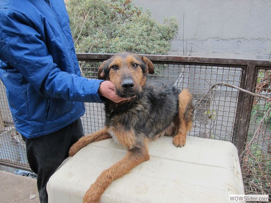 OCHO